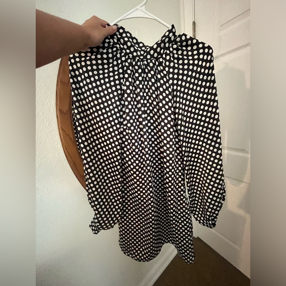 Zara dress